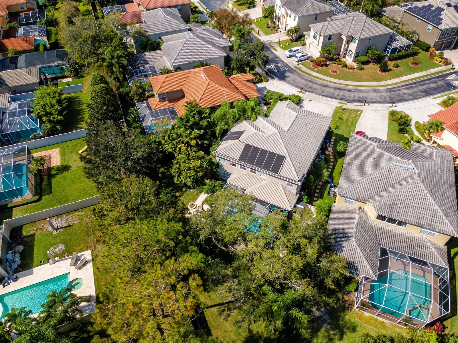 2241 HIGHLAND WOODS DR, DUNEDIN, FL, 34698