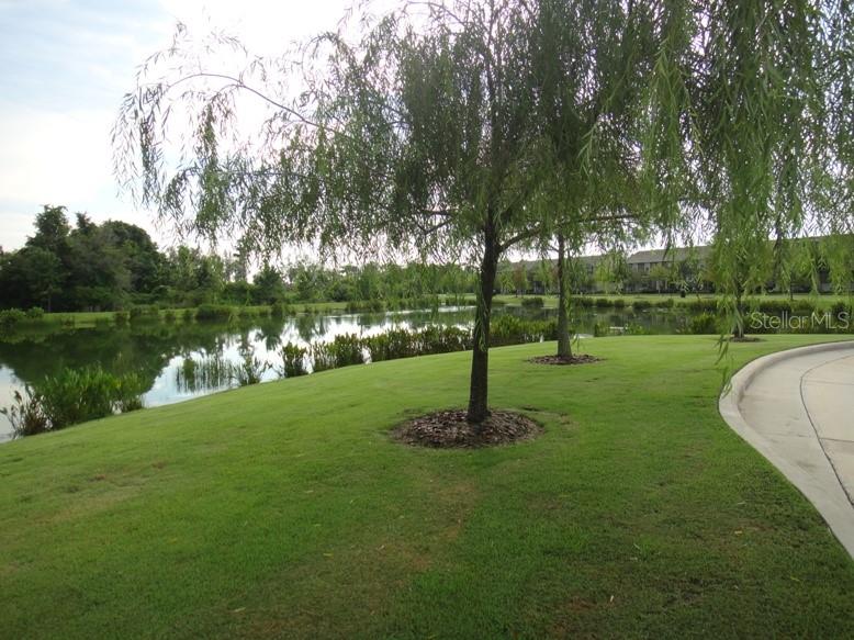 5513 SOMERSBY RD, WINDERMERE, FL, 34786
