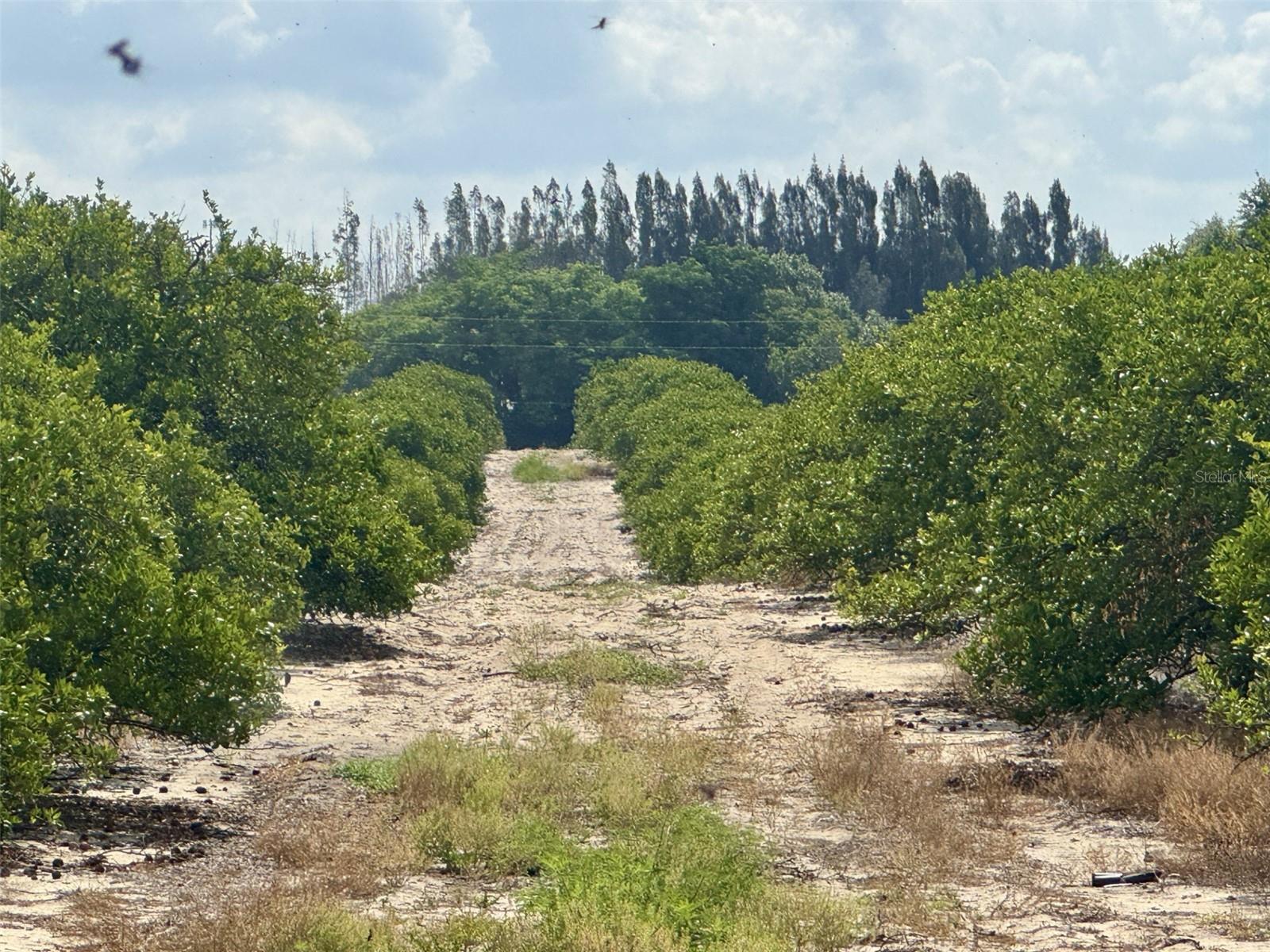 CROOKED LAKE DR N, BABSON PARK, FL, 33827