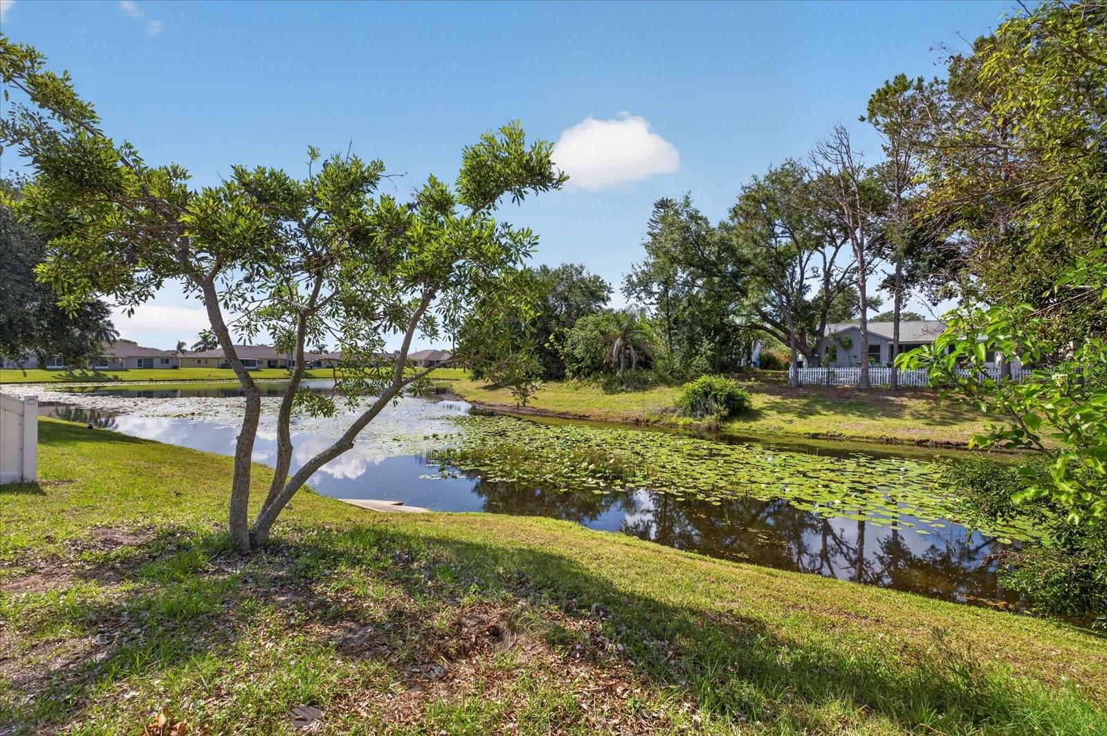 12015 CEDARFIELD DR, RIVERVIEW, FL, 33579