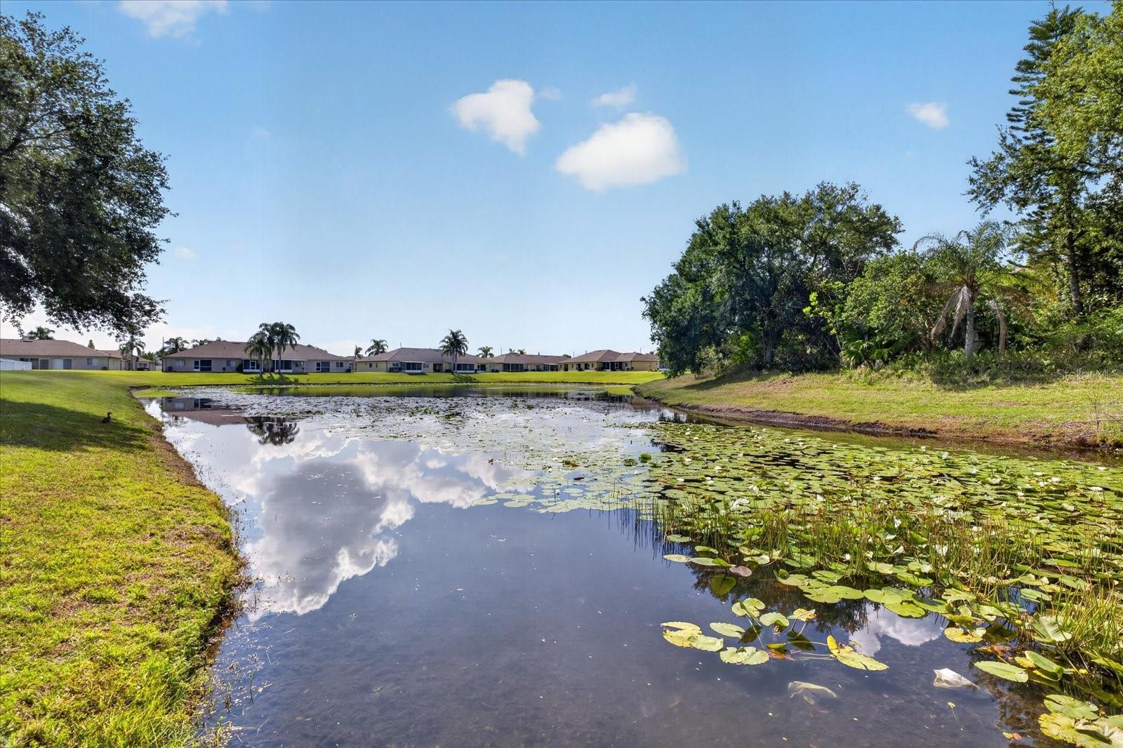 12015 CEDARFIELD DR, RIVERVIEW, FL, 33579