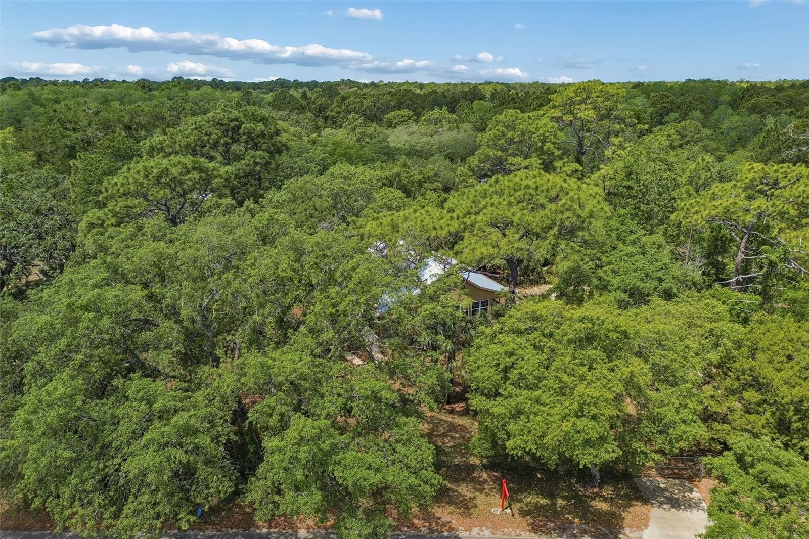 11274 S RIVIERA DR, HOMOSASSA, FL, 34448