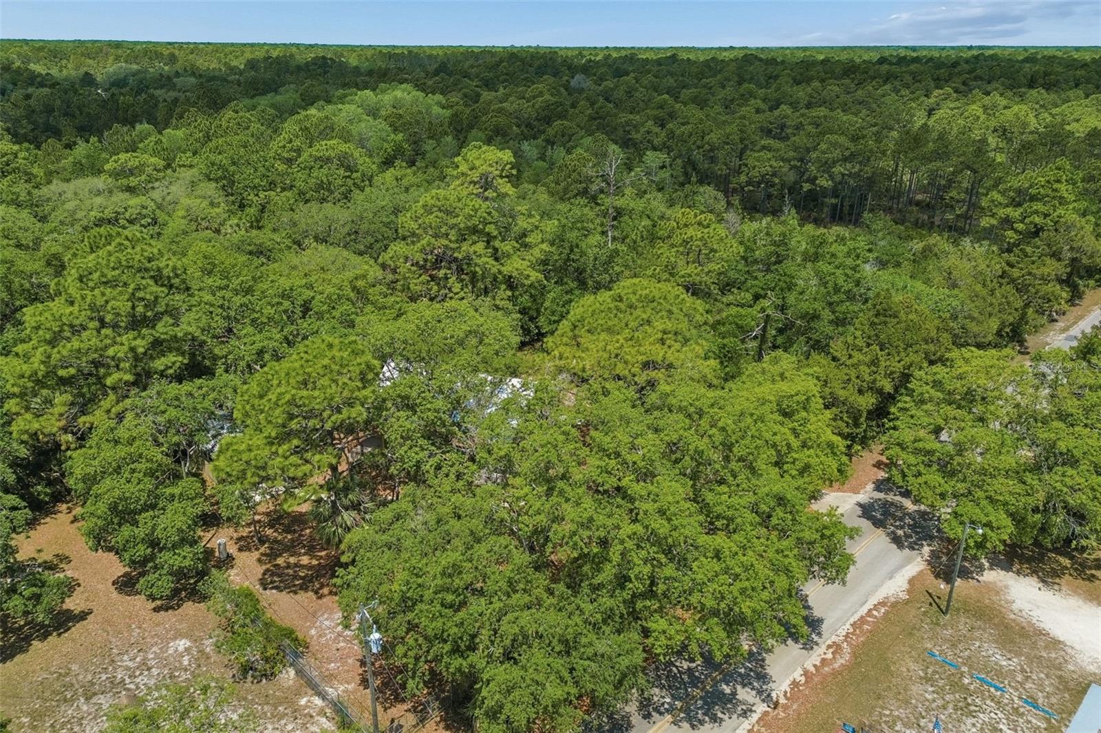 11274 S RIVIERA DR, HOMOSASSA, FL, 34448