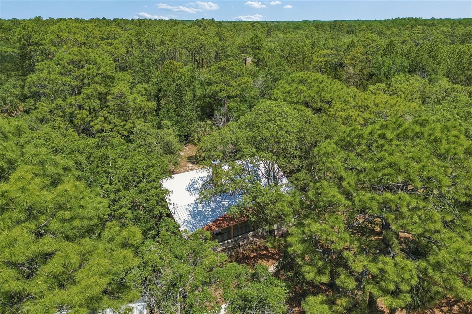 11274 S RIVIERA DR, HOMOSASSA, FL, 34448