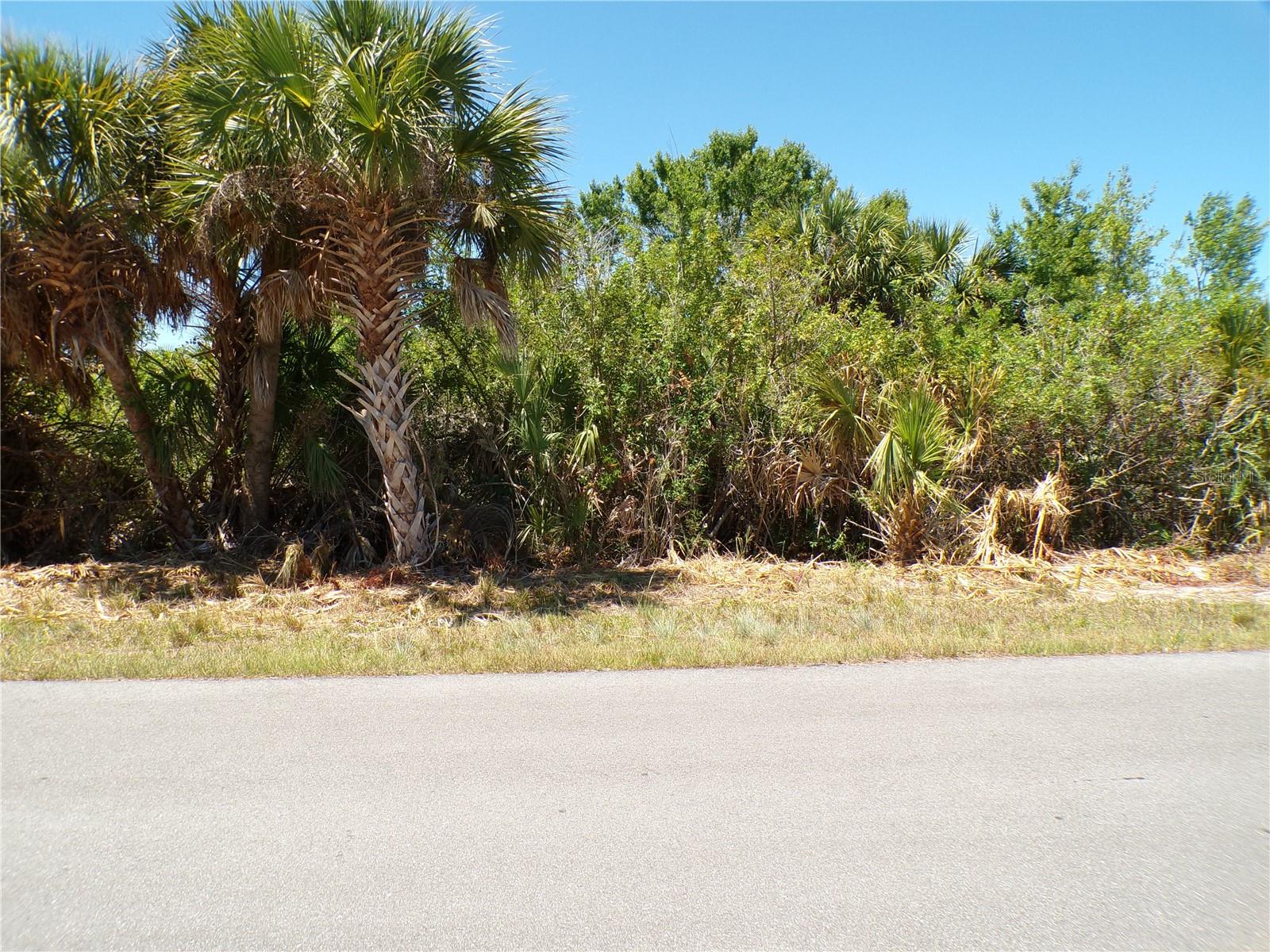 12128 VAN GOUGH AVE, PORT CHARLOTTE, FL, 33981