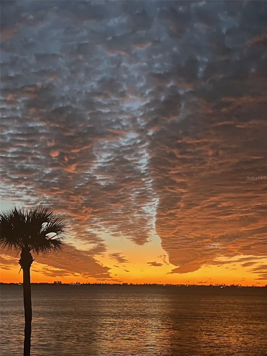 3460 WILD OAK BAY BLVD #143, BRADENTON, FL, 34210