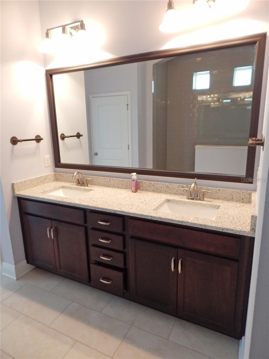 14242 NATURES RESERVE DR, LITHIA, FL, 33547