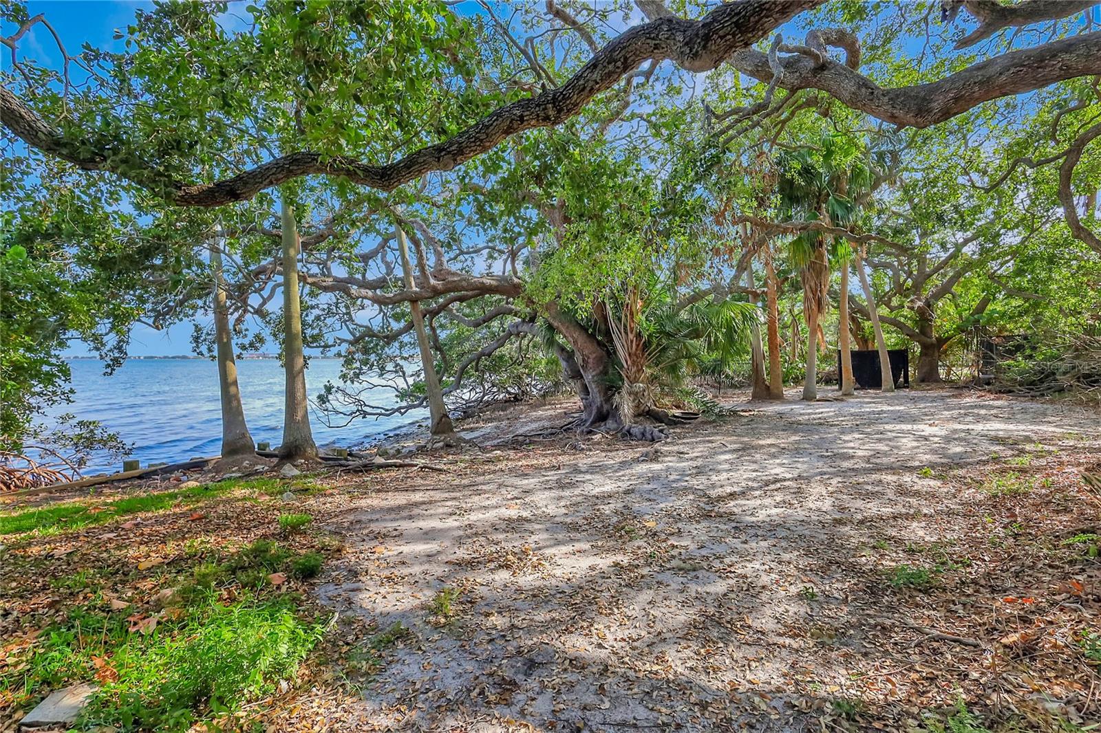 6220 BAYSHORE BLVD, TAMPA, FL, 33611