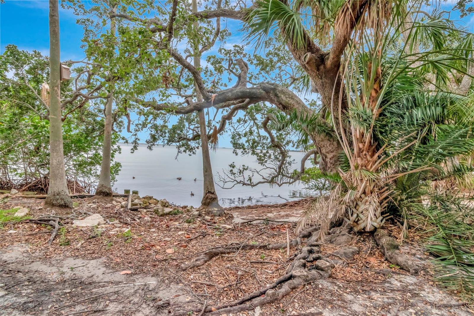 6220 BAYSHORE BLVD, TAMPA, FL, 33611