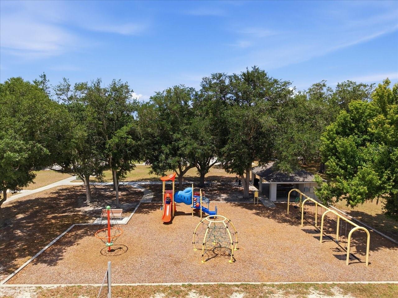 19409 GOLDEN SLIPPER PL, LUTZ, FL, 33558