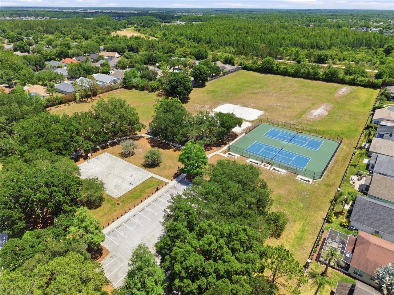 19409 GOLDEN SLIPPER PL, LUTZ, FL, 33558