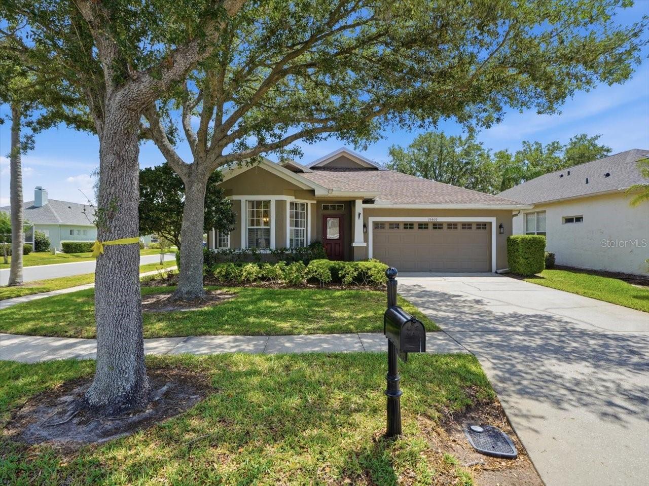 19409 GOLDEN SLIPPER PL, LUTZ, FL, 33558