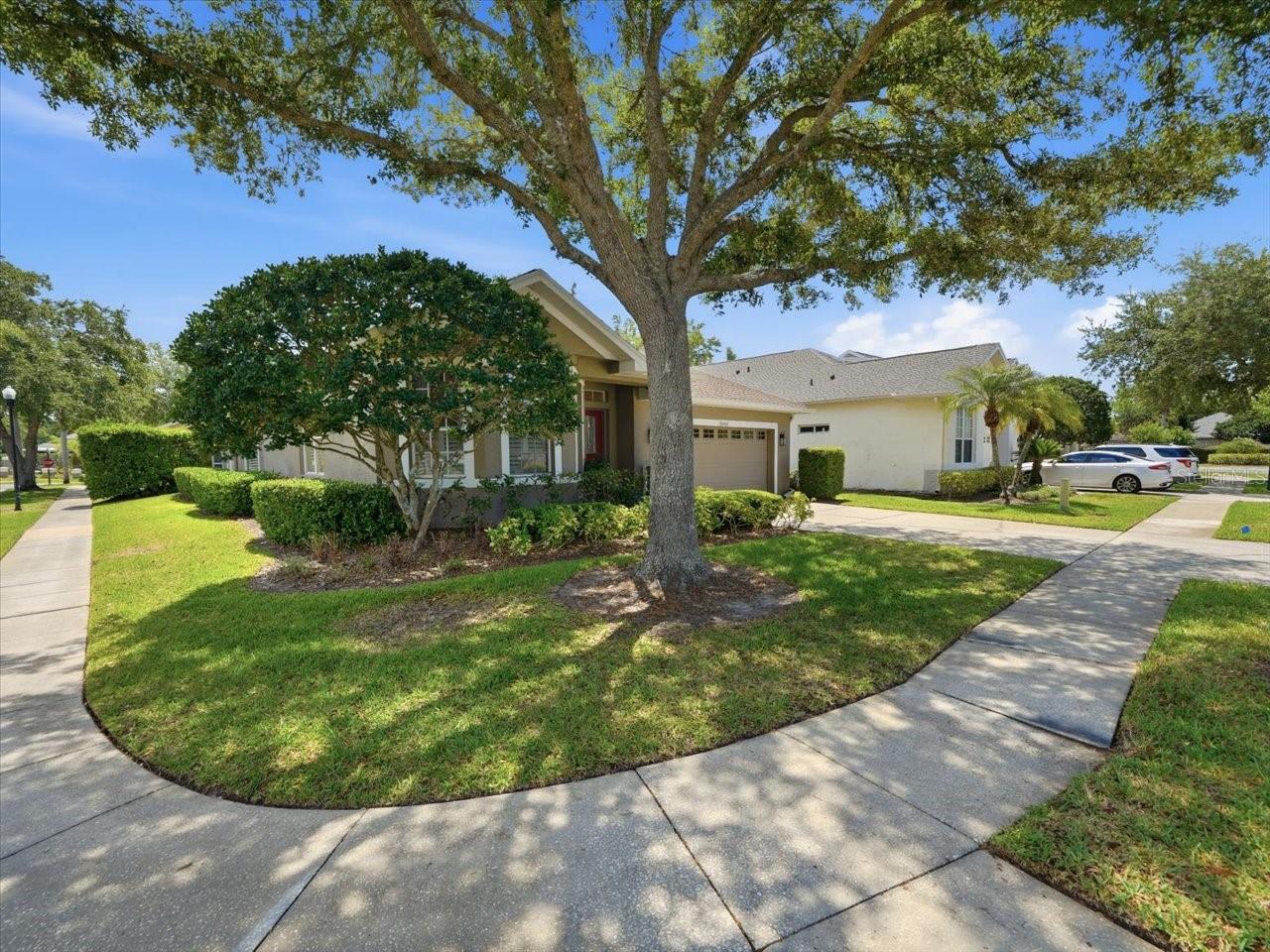 19409 GOLDEN SLIPPER PL, LUTZ, FL, 33558