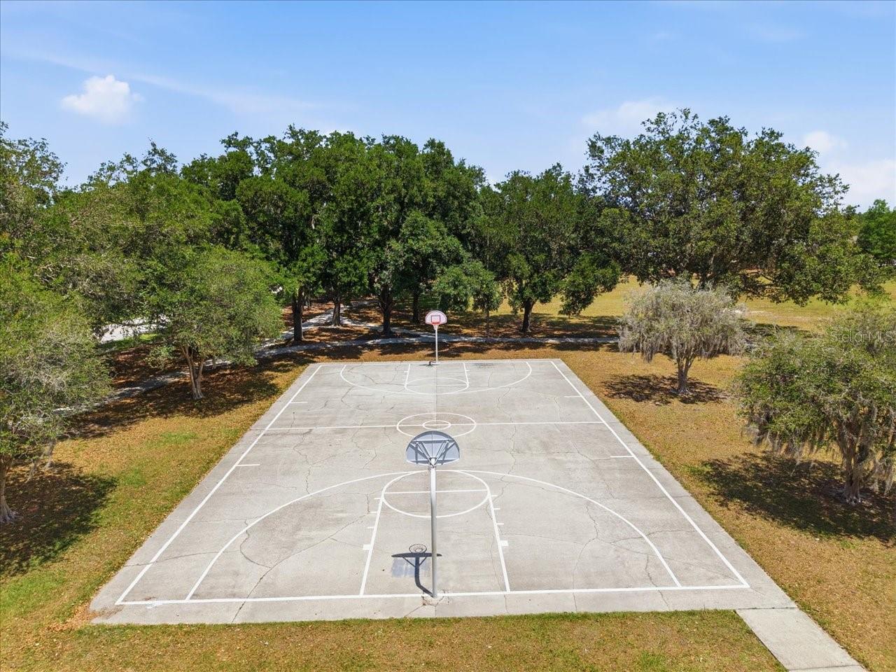 19409 GOLDEN SLIPPER PL, LUTZ, FL, 33558