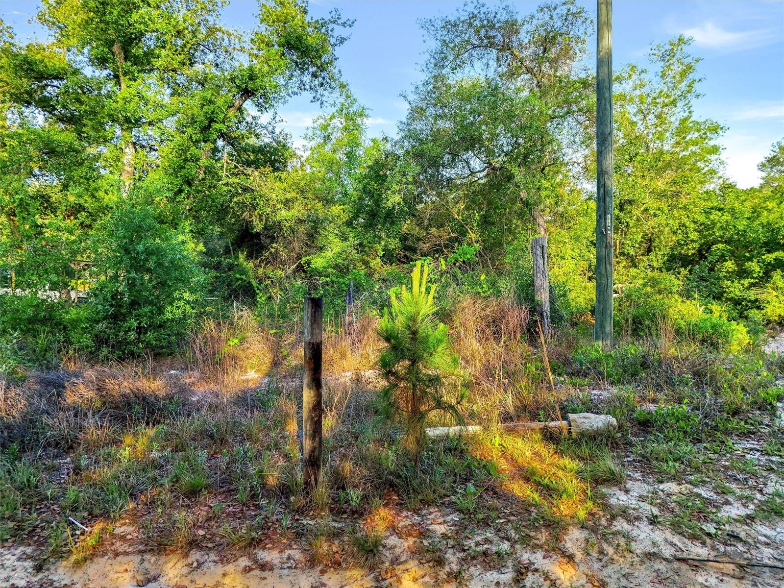 JEWELL DR, DELAND, FL, 32720