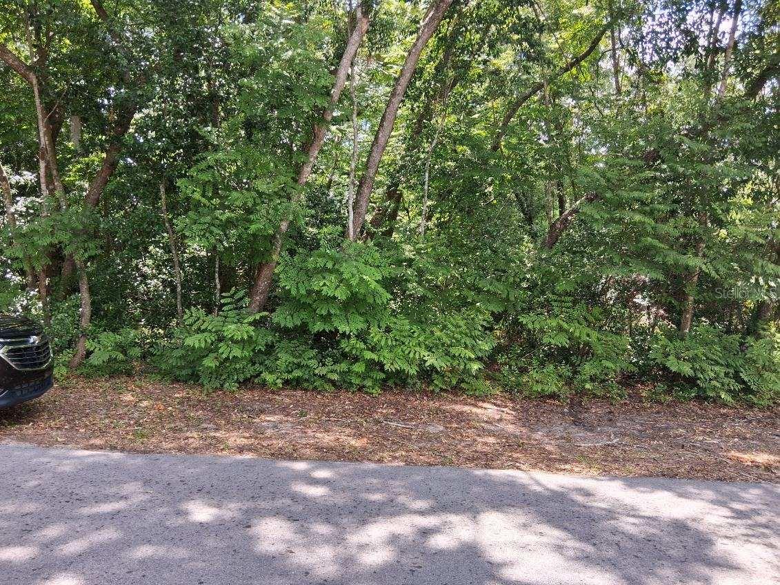 NW 2ND ST, WEBSTER, FL, 33597