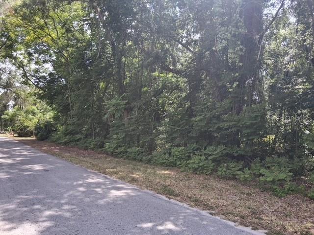 NW 2ND ST, WEBSTER, FL, 33597