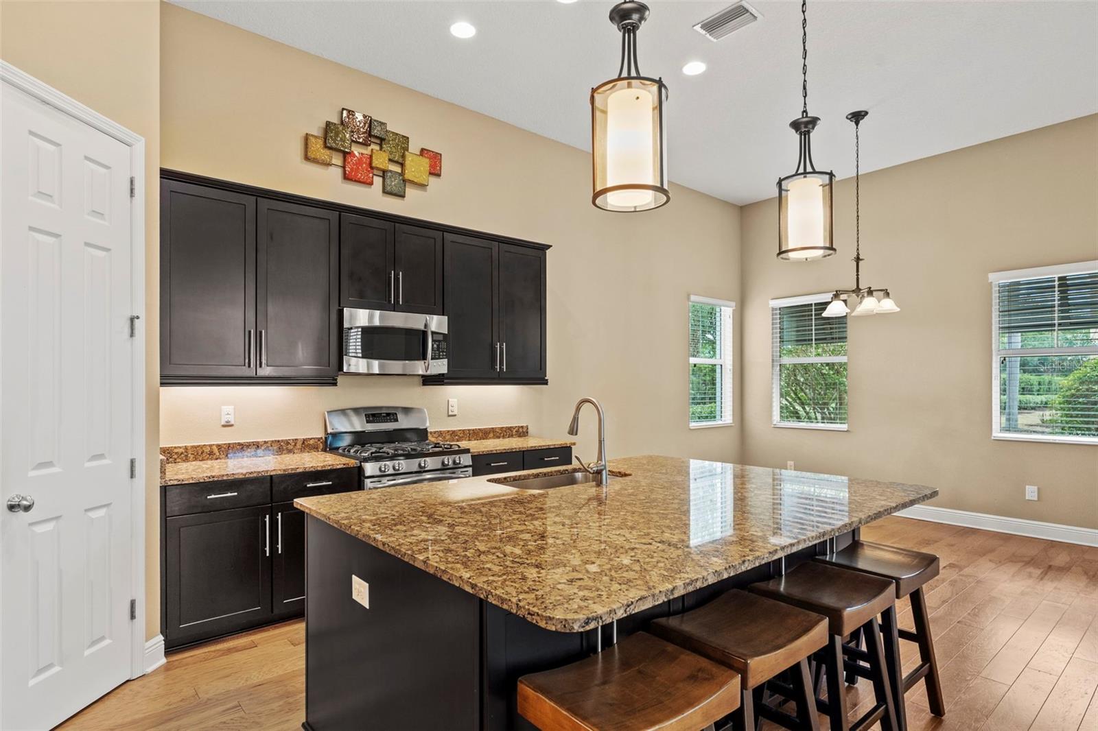 514 WINTERSIDE DR, APOLLO BEACH, FL, 33572
