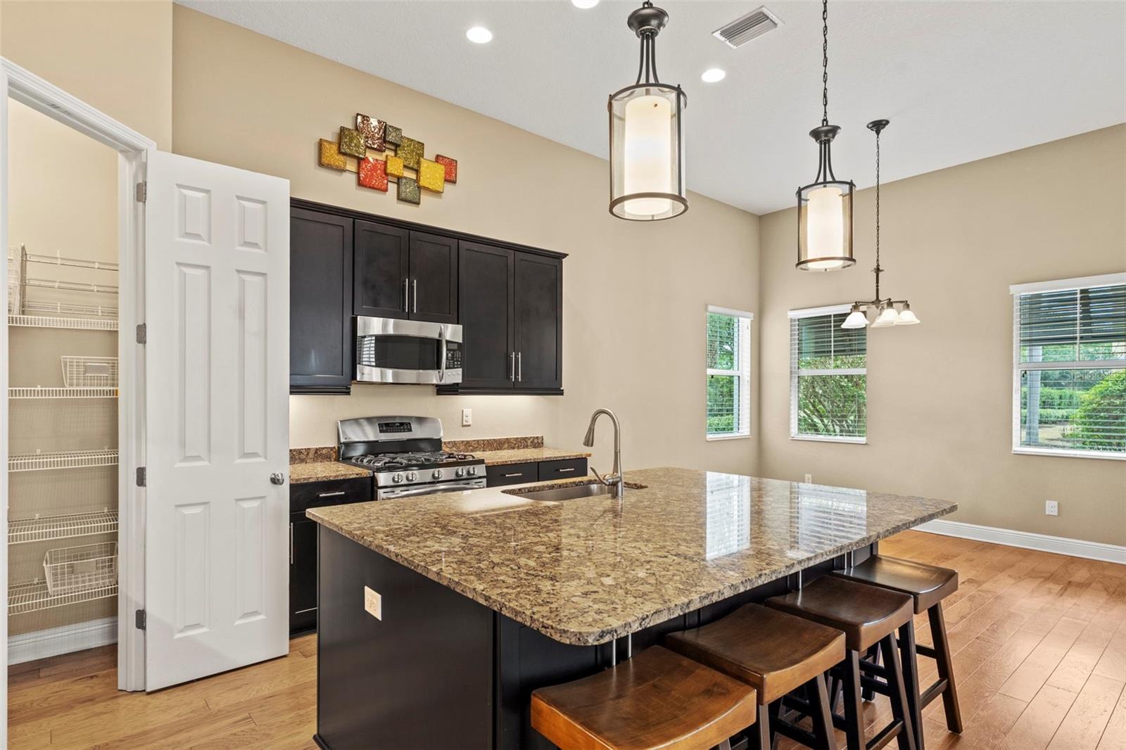 514 WINTERSIDE DR, APOLLO BEACH, FL, 33572