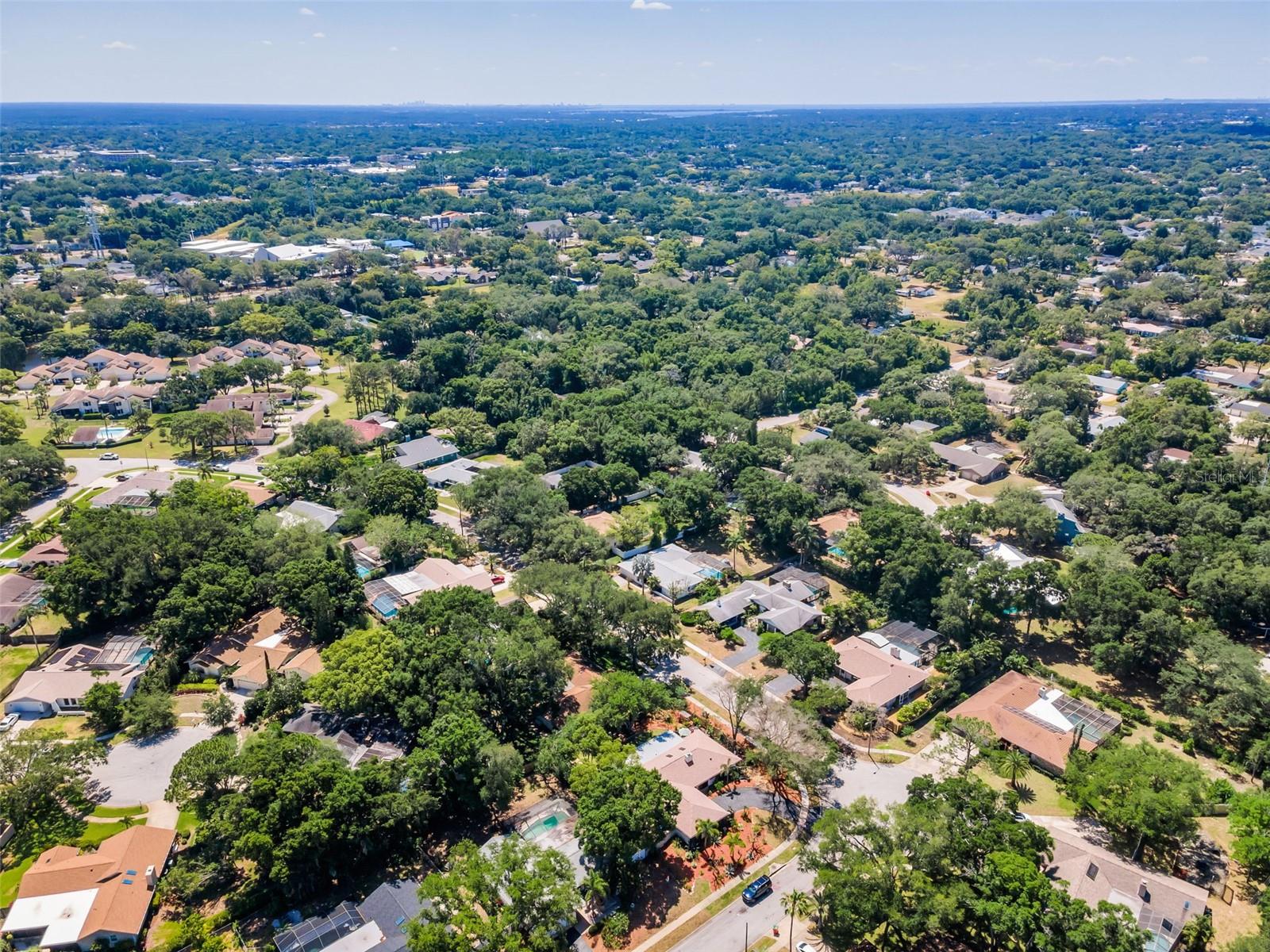 520 SANDY HOOK RD, PALM HARBOR, FL, 34683