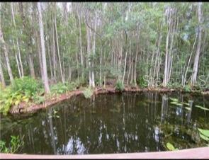 14520 GENEVA DR, ODESSA, FL, 33556