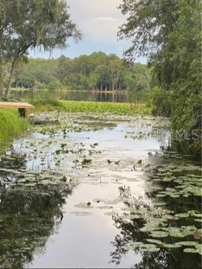 14520 GENEVA DR, ODESSA, FL, 33556