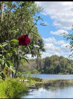 14520 GENEVA DR, ODESSA, FL, 33556