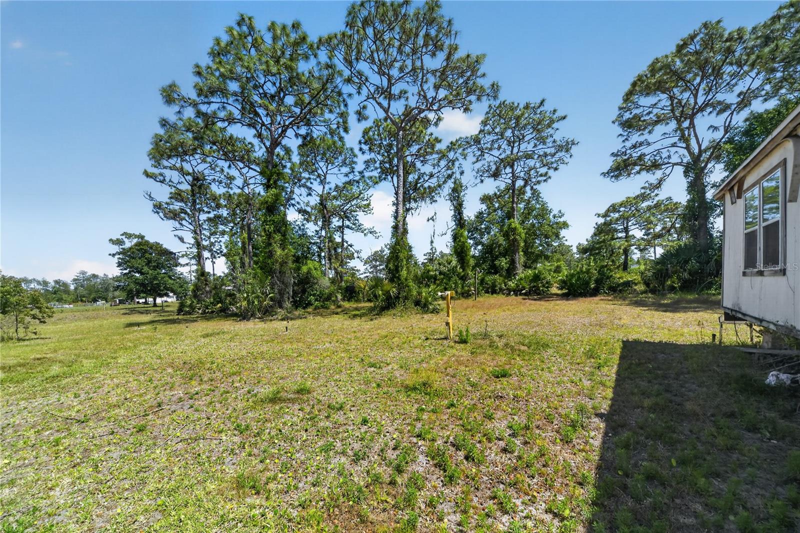 23000 TEX WHEELER AVE, CHRISTMAS, FL, 32709