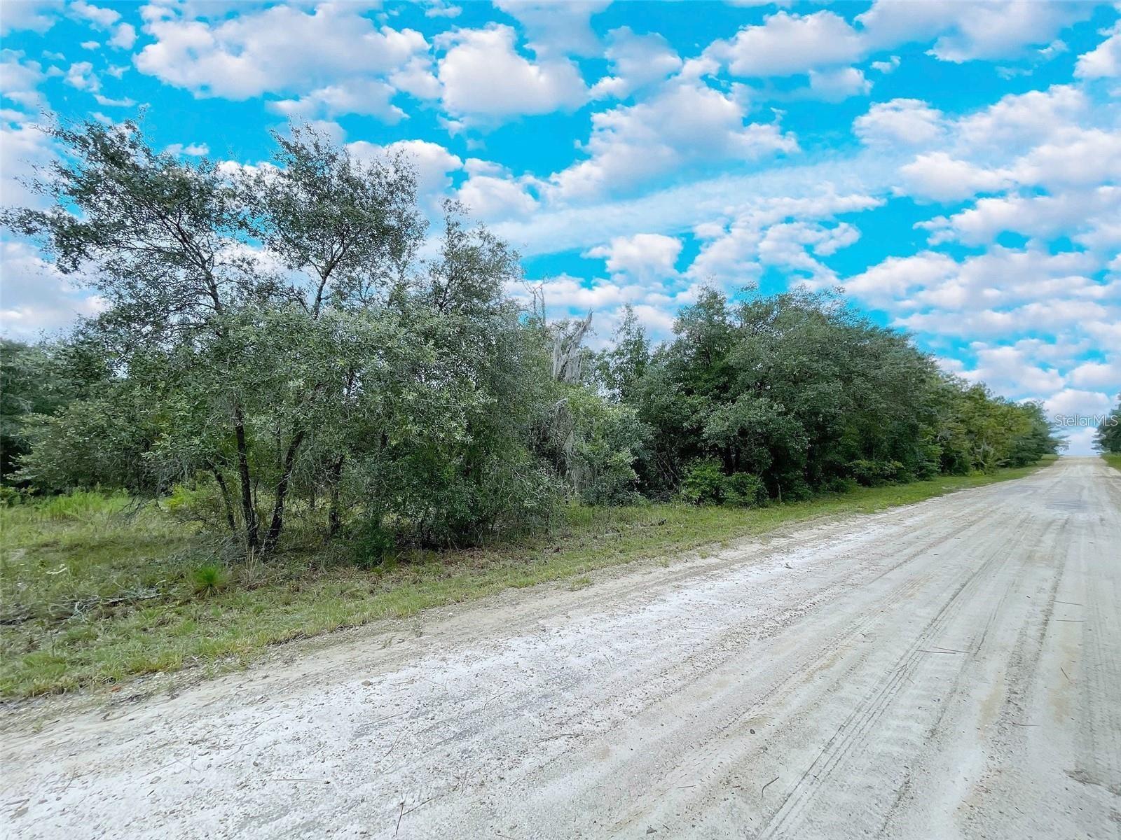 14250 SE 2ND ST, WILLISTON, FL, 32696