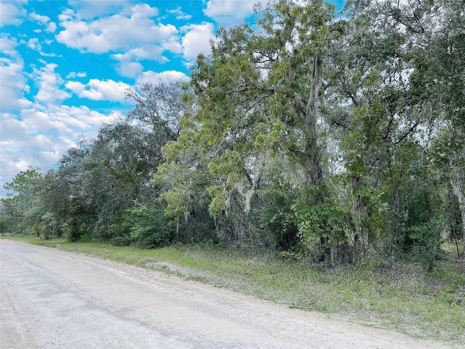 14250 SE 2ND ST, WILLISTON, FL, 32696