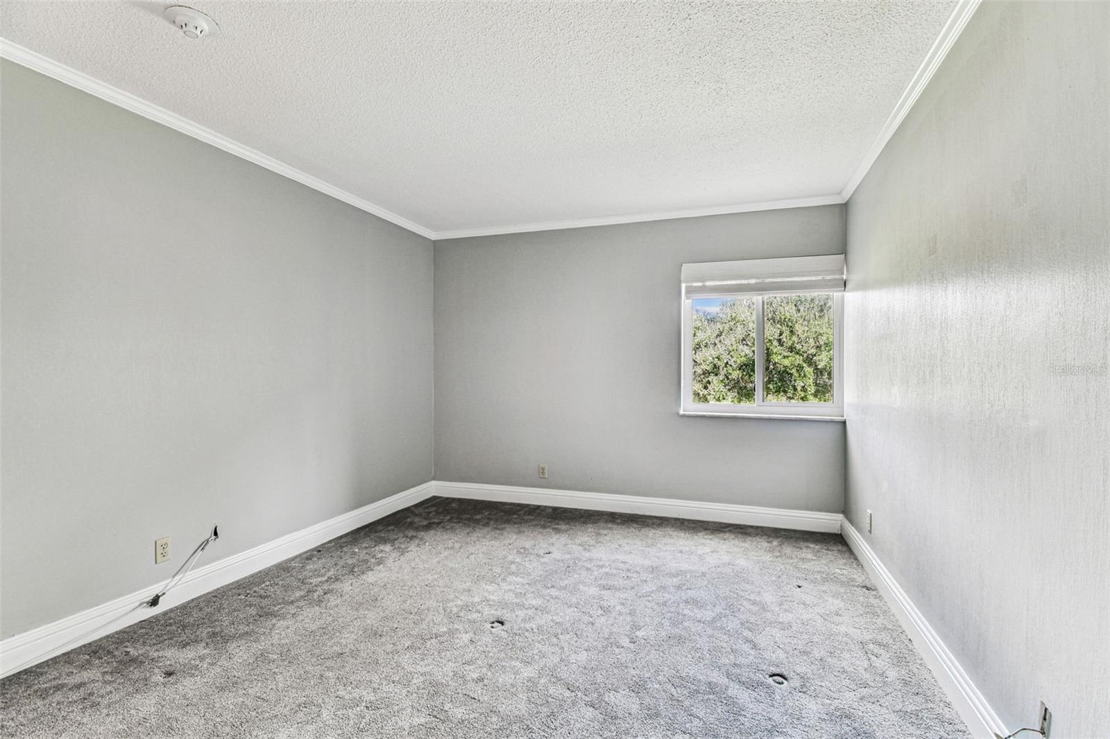 36750 US HIGHWAY 19 N #20201, PALM HARBOR, FL, 34684