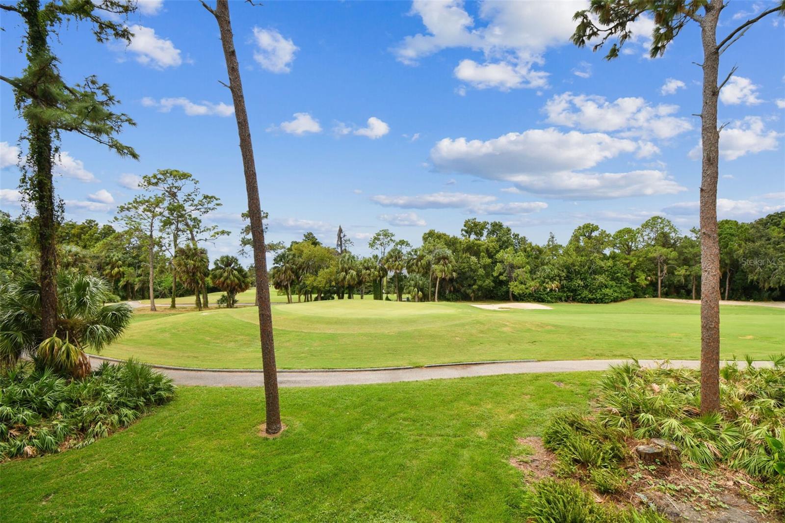 36750 US HIGHWAY 19 N #20201, PALM HARBOR, FL, 34684