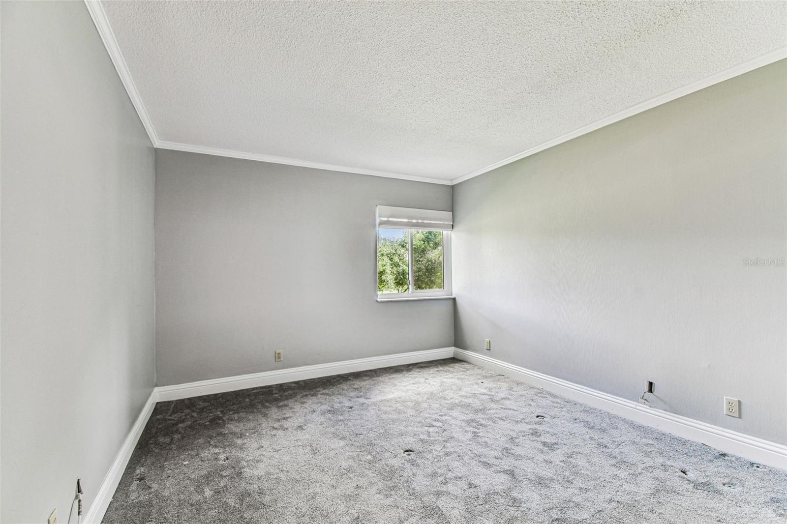 36750 US HIGHWAY 19 N #20201, PALM HARBOR, FL, 34684