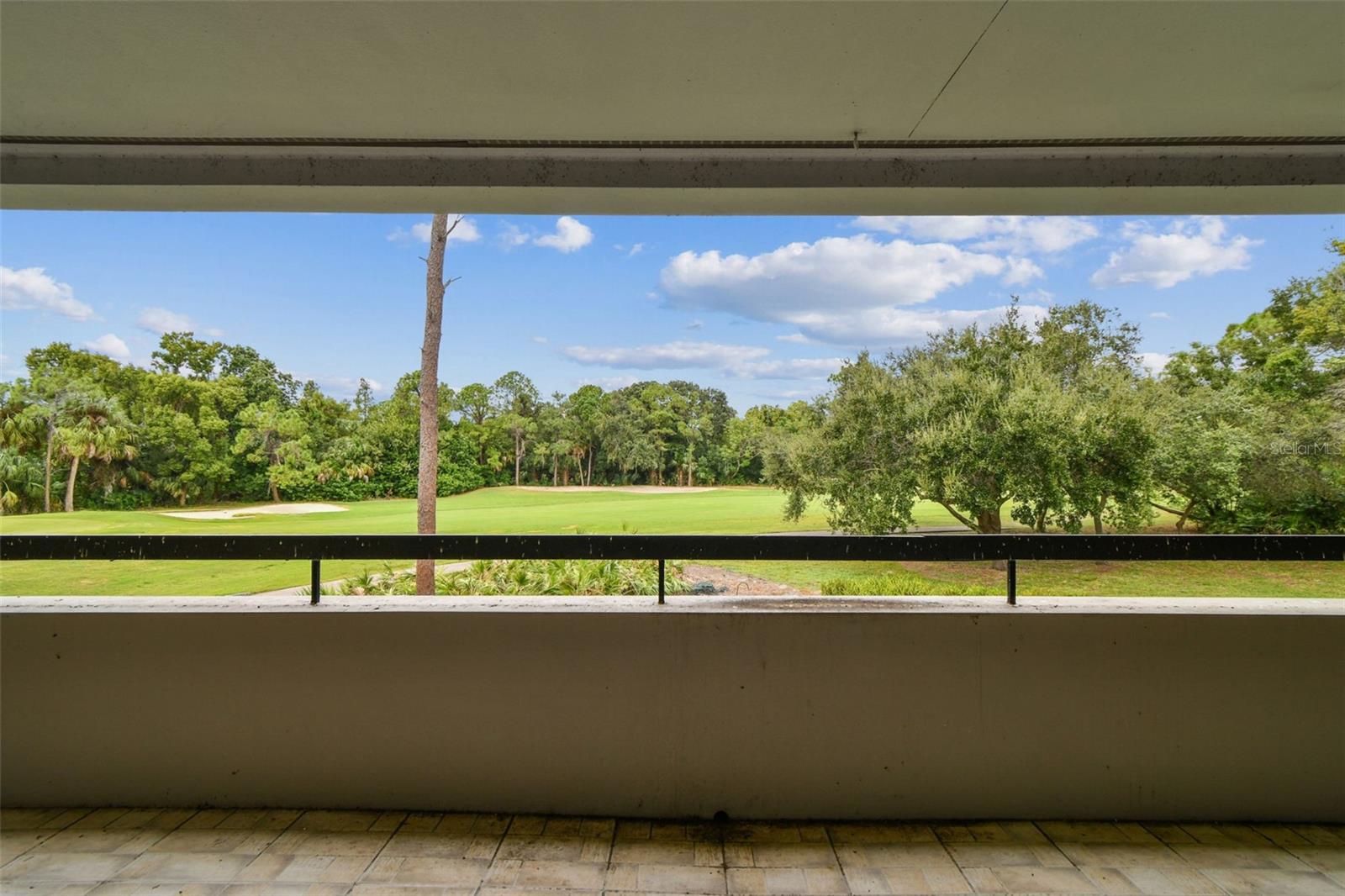 36750 US HIGHWAY 19 N #20201, PALM HARBOR, FL, 34684
