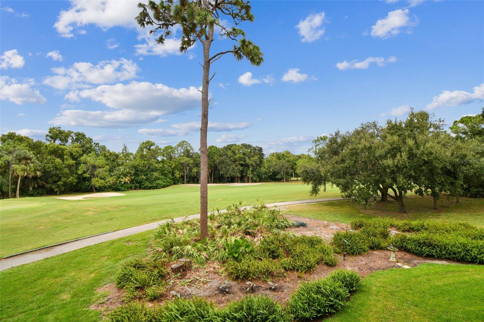 36750 US HIGHWAY 19 N #20201, PALM HARBOR, FL, 34684