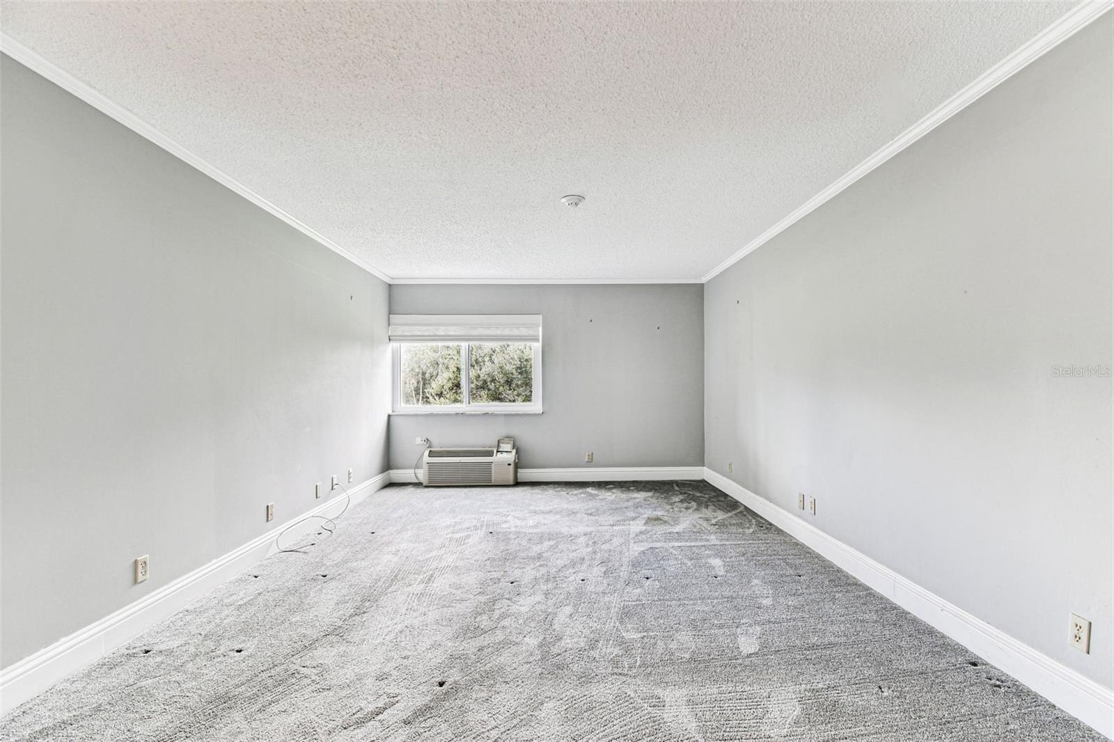36750 US HIGHWAY 19 N #20201, PALM HARBOR, FL, 34684