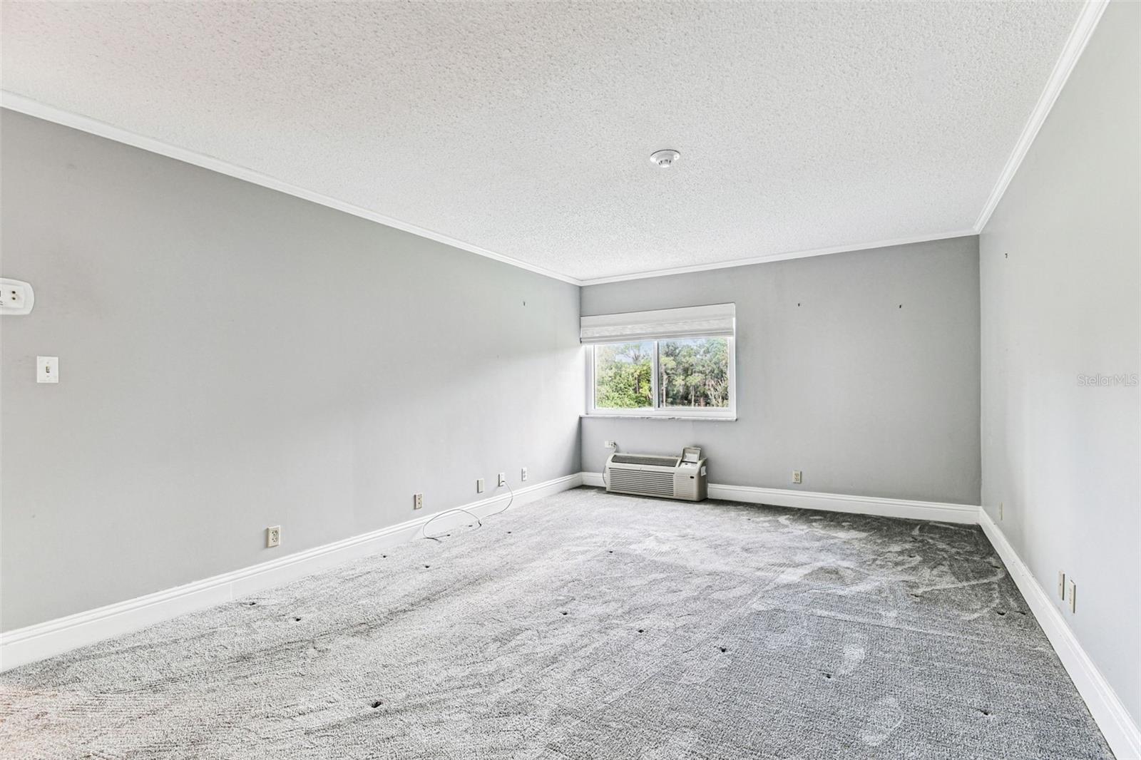 36750 US HIGHWAY 19 N #20201, PALM HARBOR, FL, 34684