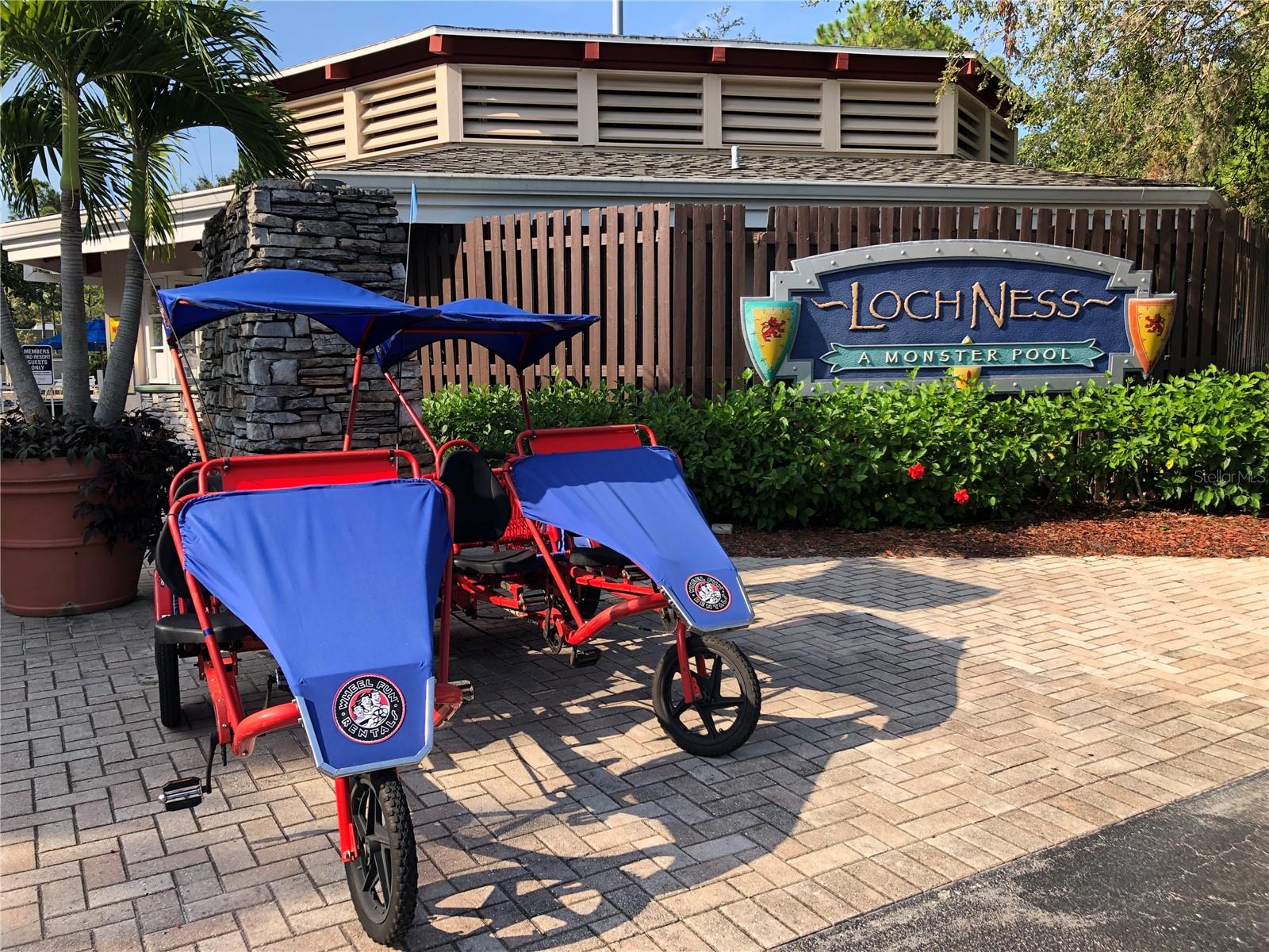 36750 US HIGHWAY 19 N #20201, PALM HARBOR, FL, 34684