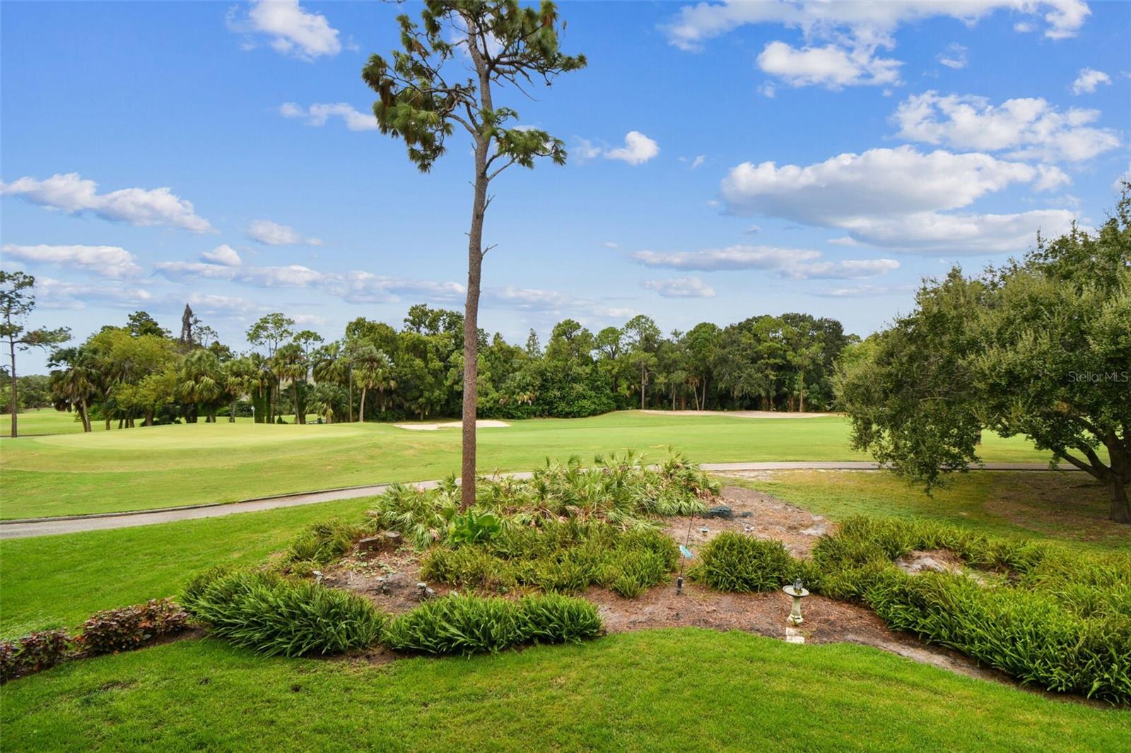 36750 US HIGHWAY 19 N #20201, PALM HARBOR, FL, 34684
