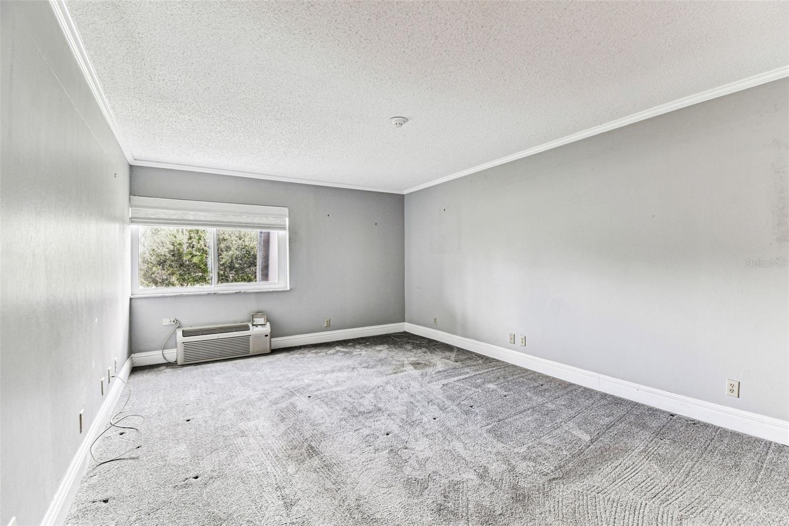 36750 US HIGHWAY 19 N #20201, PALM HARBOR, FL, 34684