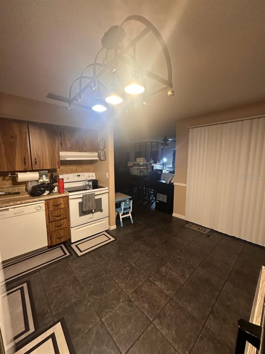 205 PINECREST RD, MOUNT DORA, FL, 32757