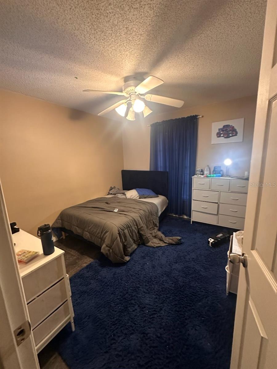 205 PINECREST RD, MOUNT DORA, FL, 32757
