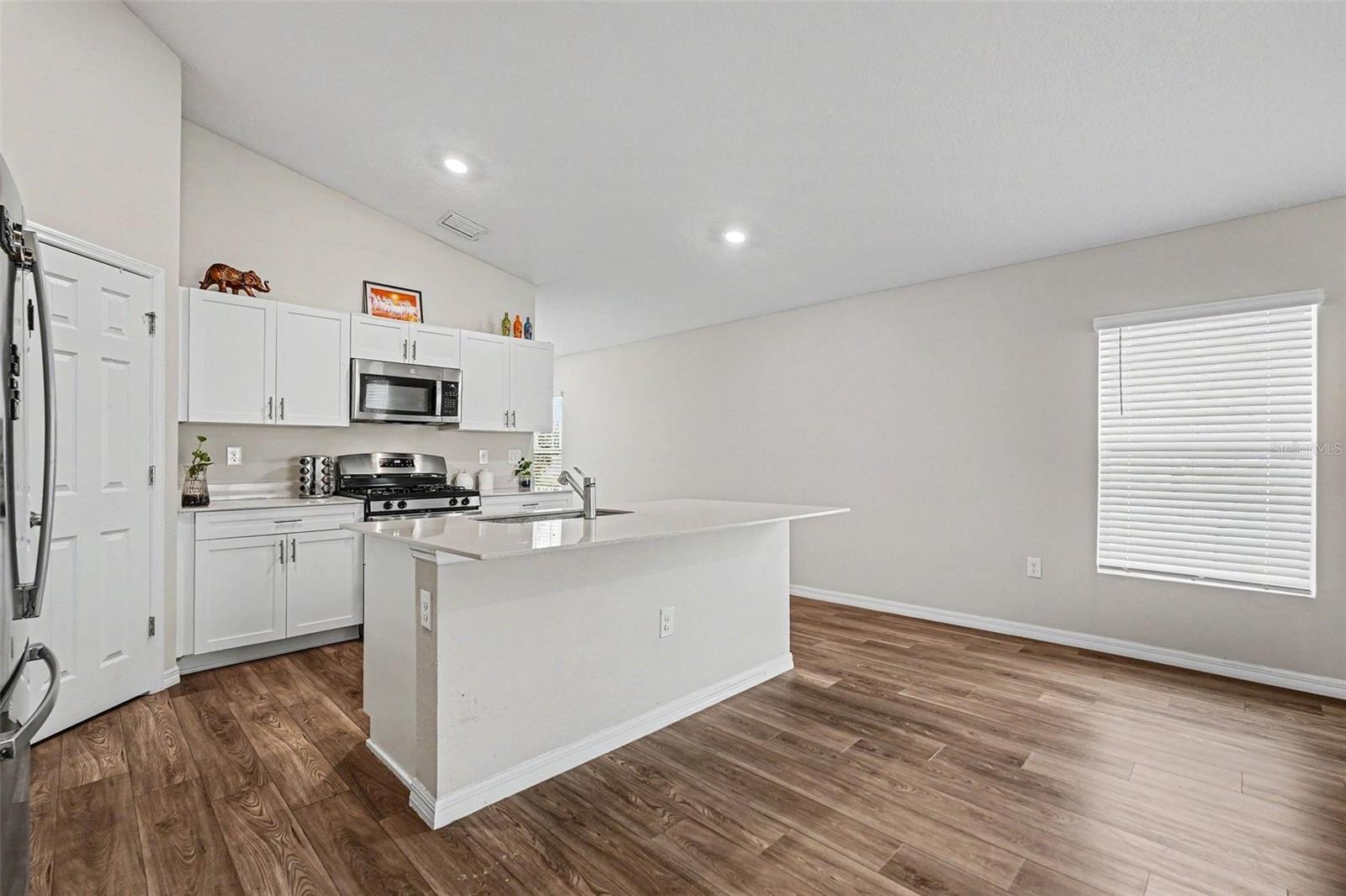 14919 STERLING SPUR AVE, LITHIA, FL, 33547