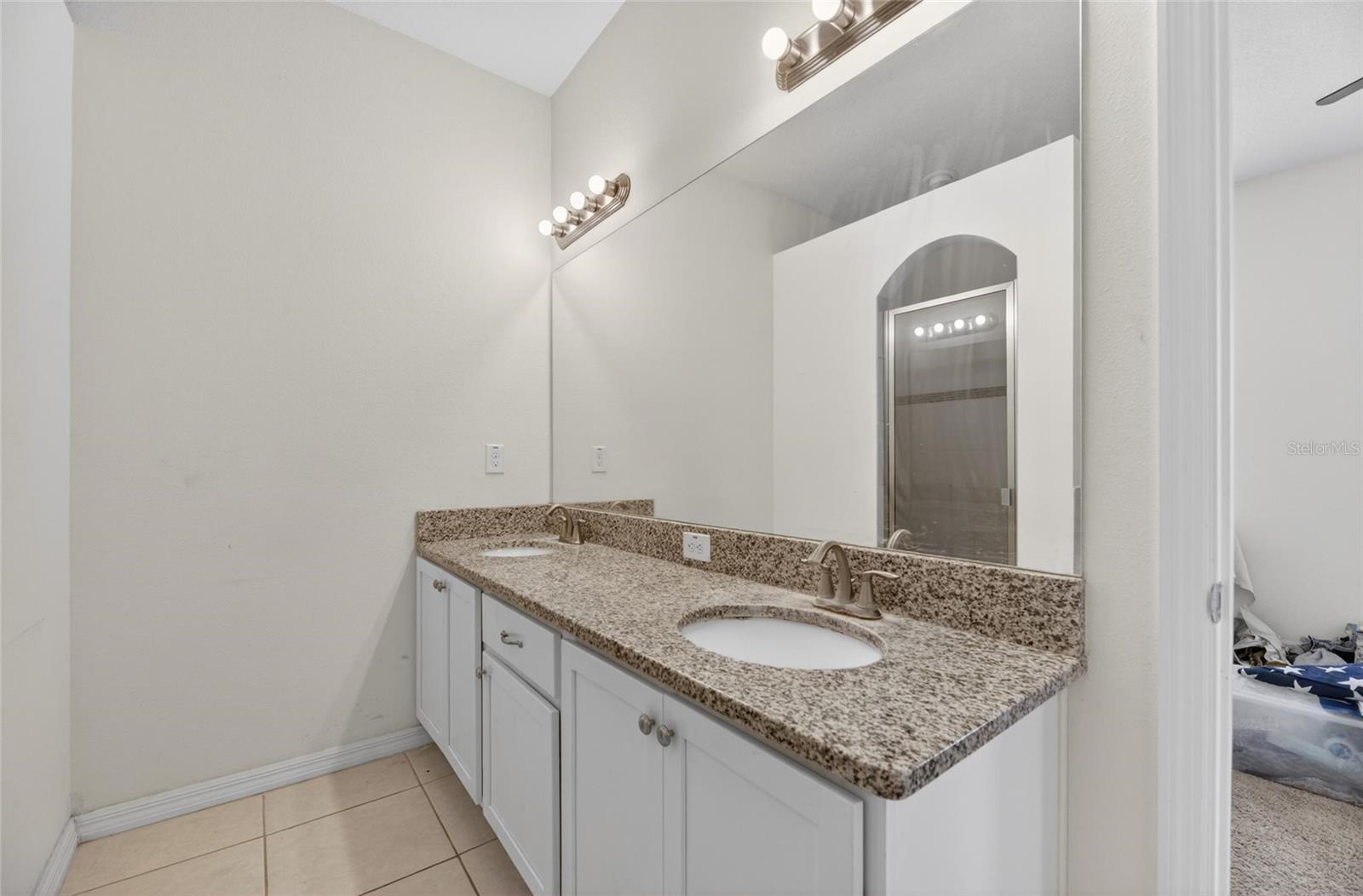 12433 BALLENTRAE FOREST DR, RIVERVIEW, FL, 33579