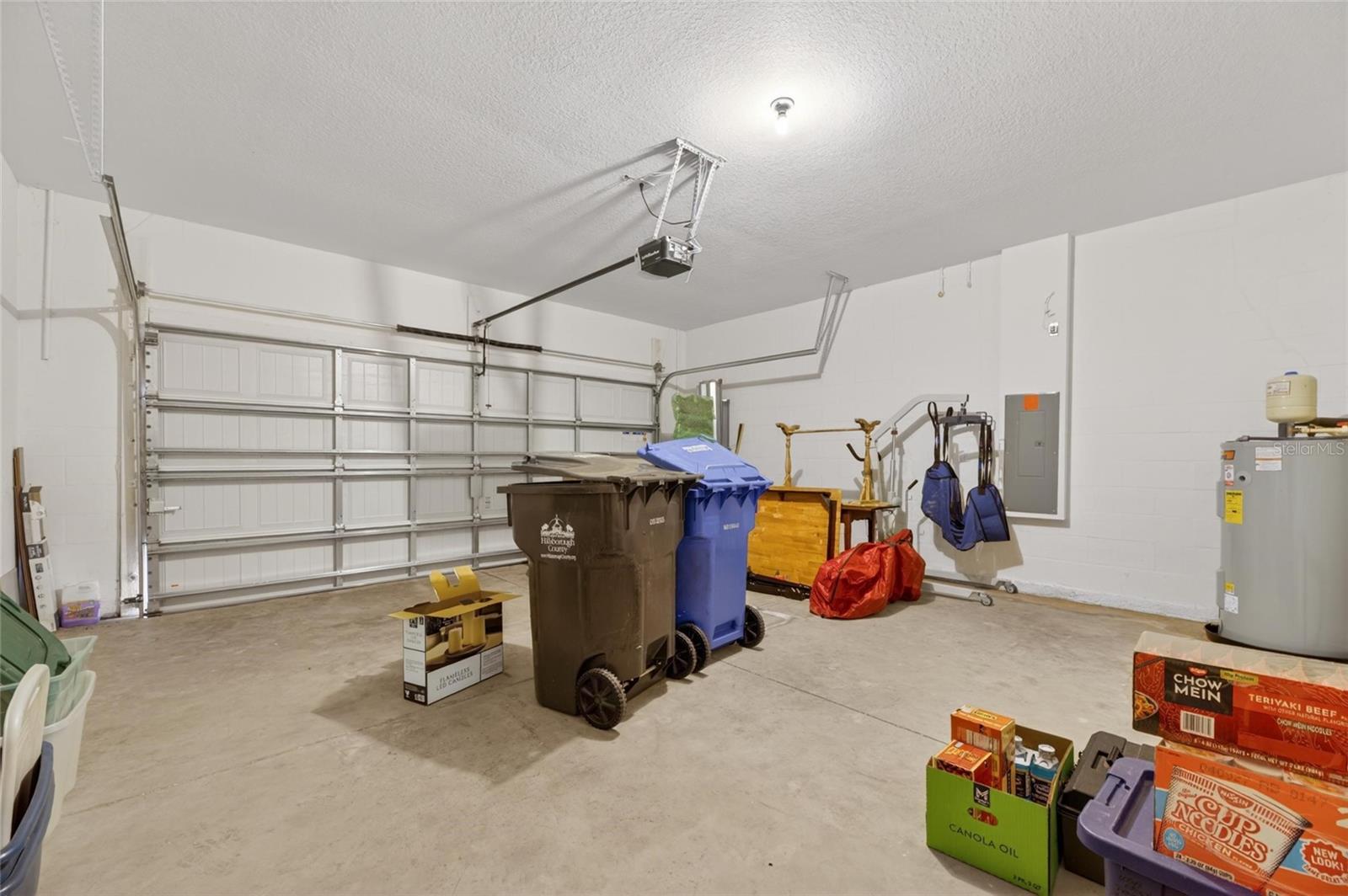 12433 BALLENTRAE FOREST DR, RIVERVIEW, FL, 33579