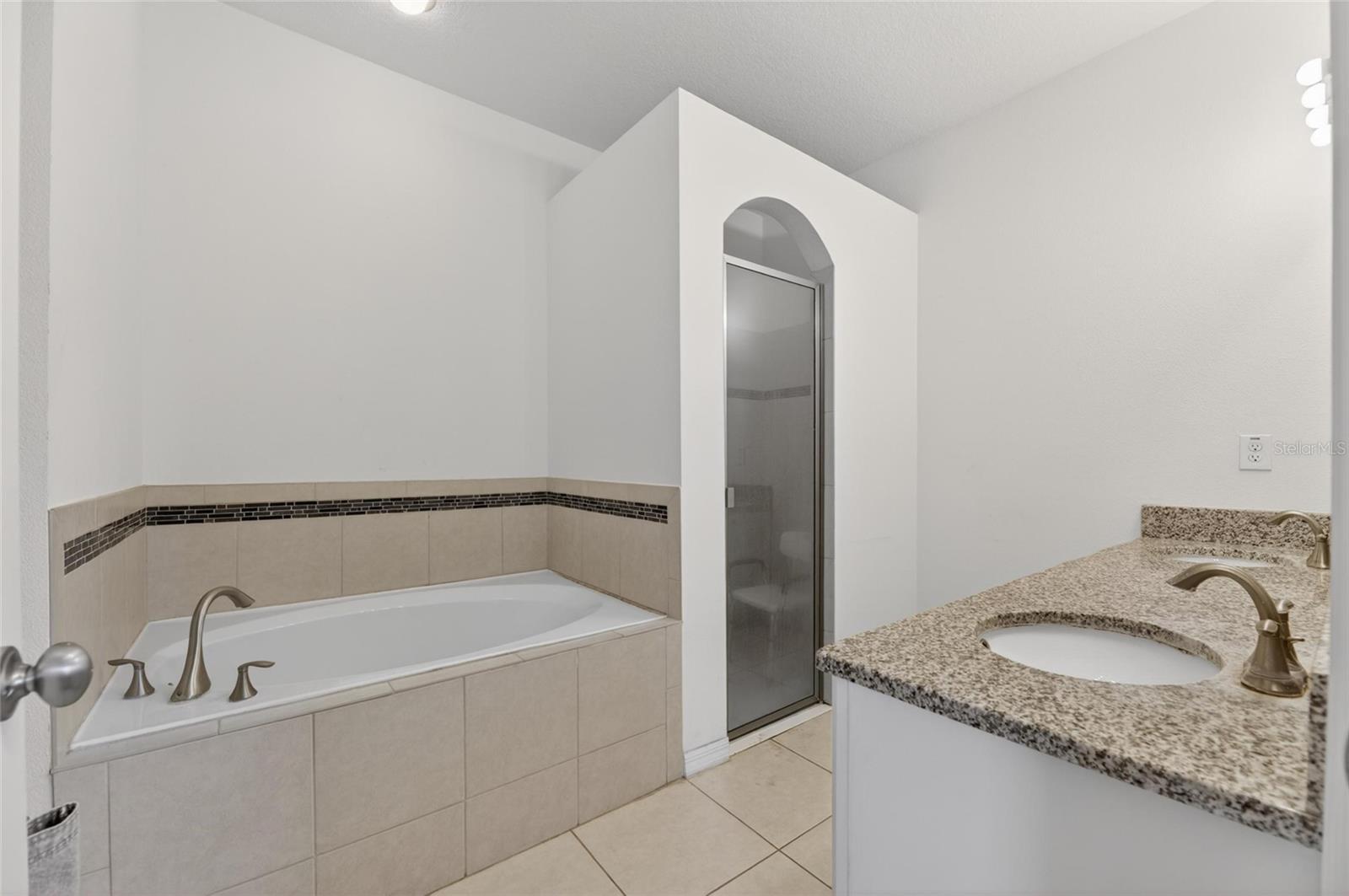 12433 BALLENTRAE FOREST DR, RIVERVIEW, FL, 33579