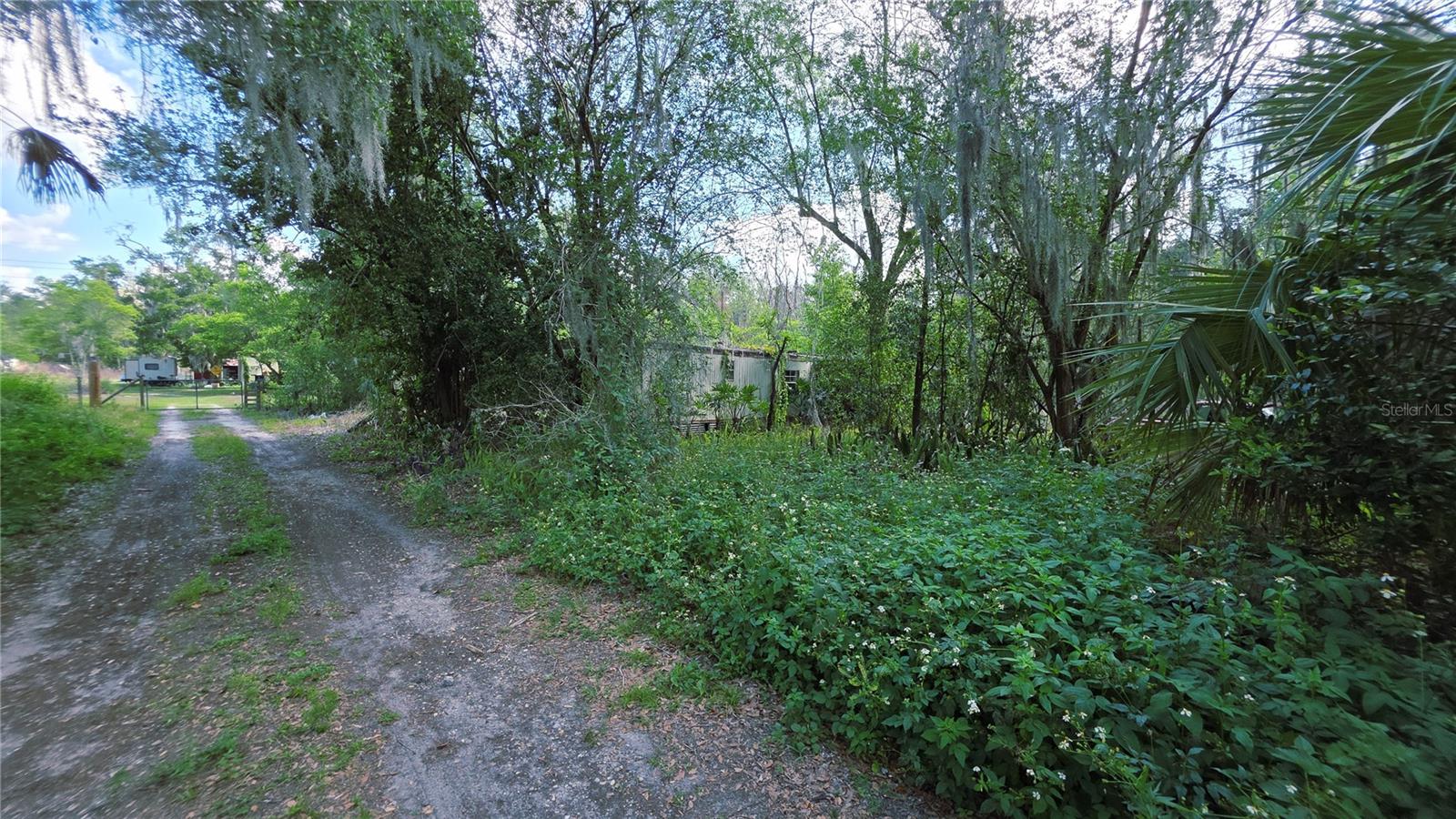 4505 TURNER RD, MULBERRY, FL, 33860