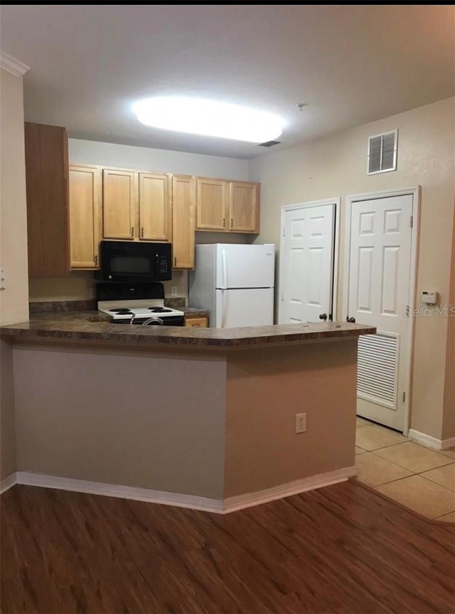 10025 COURTNEY PALMS BLVD #102, TAMPA, FL, 33619