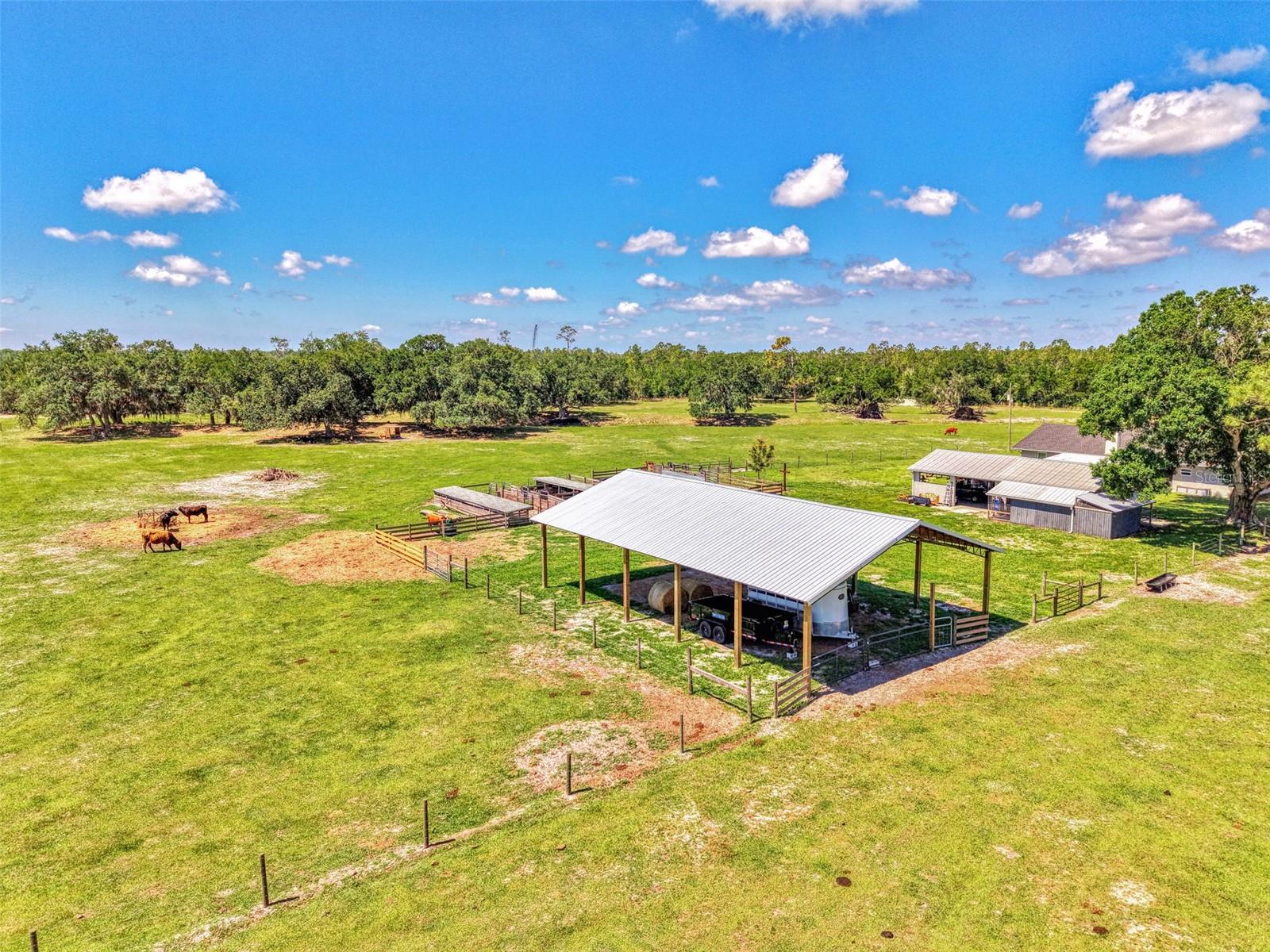 10433 SW JERNIGAN ST, ARCADIA, FL, 34269