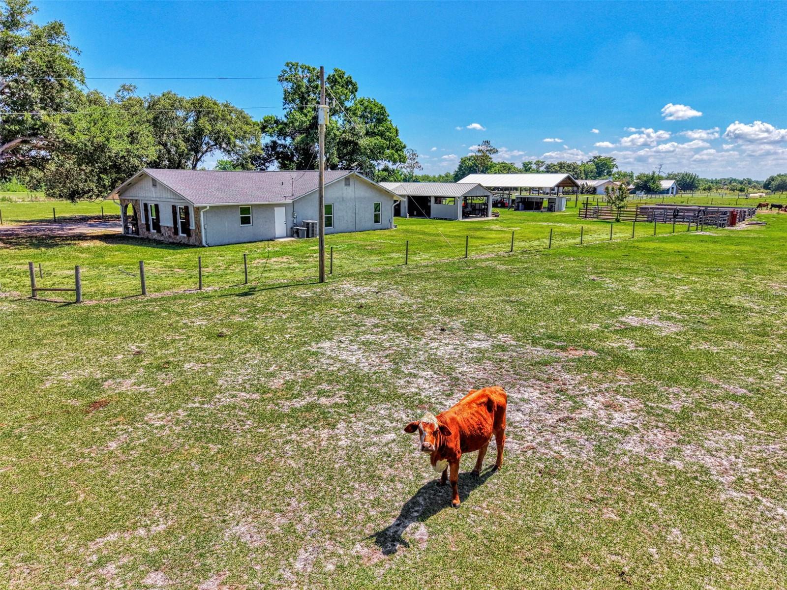 10433 SW JERNIGAN ST, ARCADIA, FL, 34269